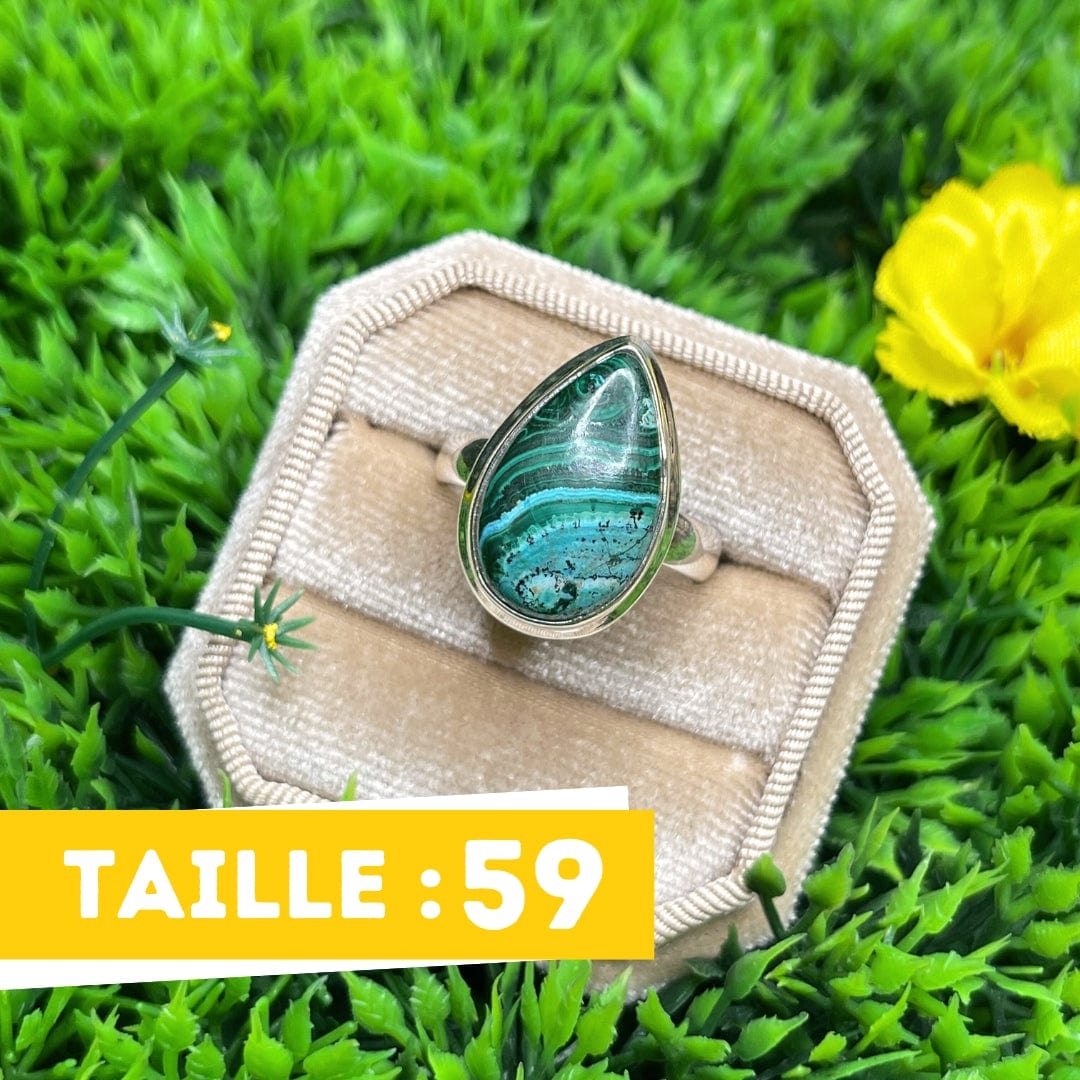 Bague Malachite Chrysocolle #31