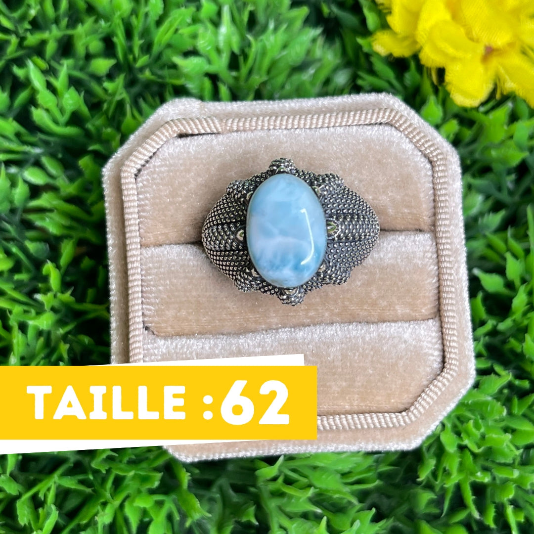 Chevalière Argent Larimar Griffe #1