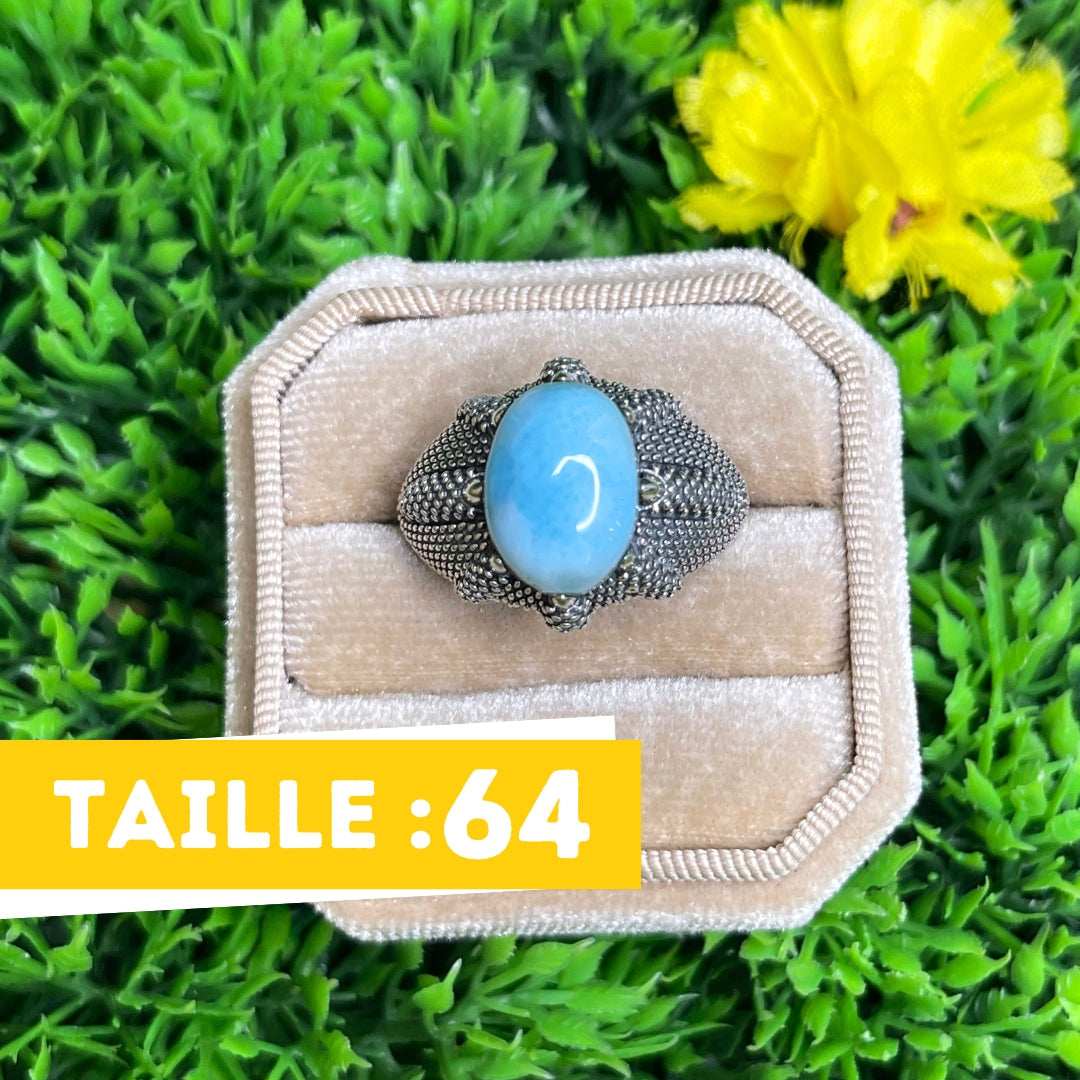 Chevalière Argent Larimar Griffe #2