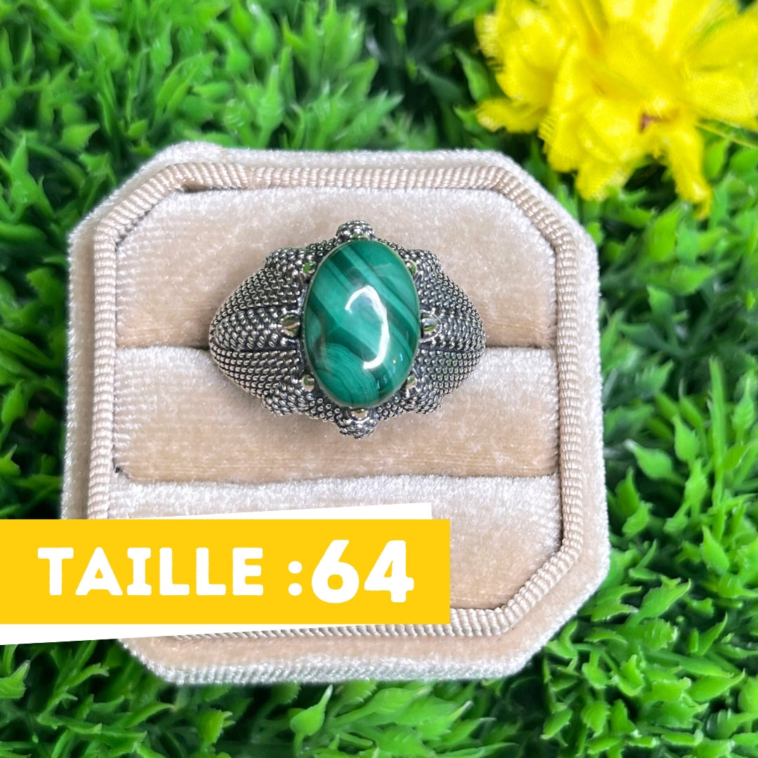 Chevalière Argent Malachite Griffe #2