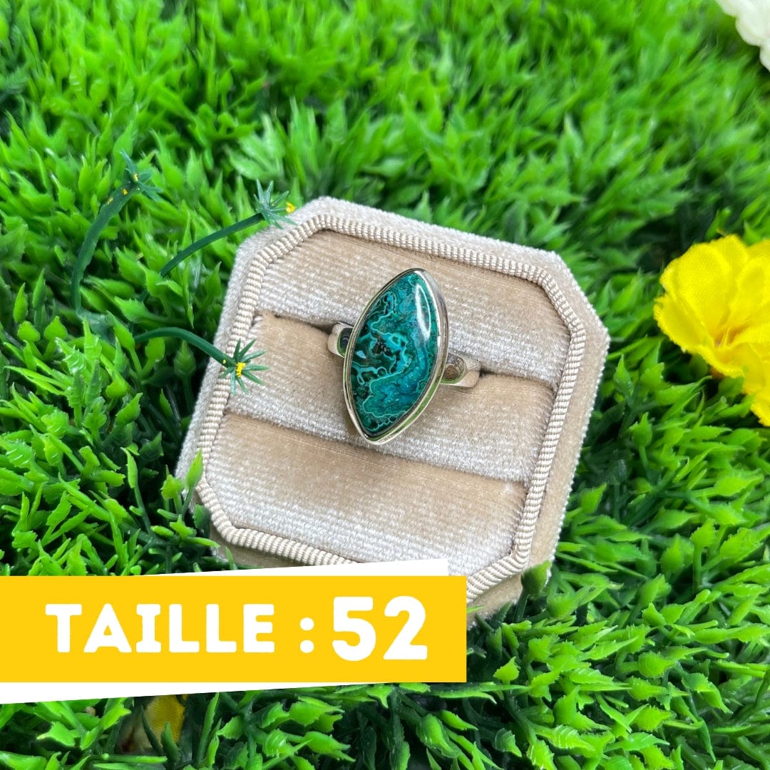 Bague Malachite Chrysocolle #9