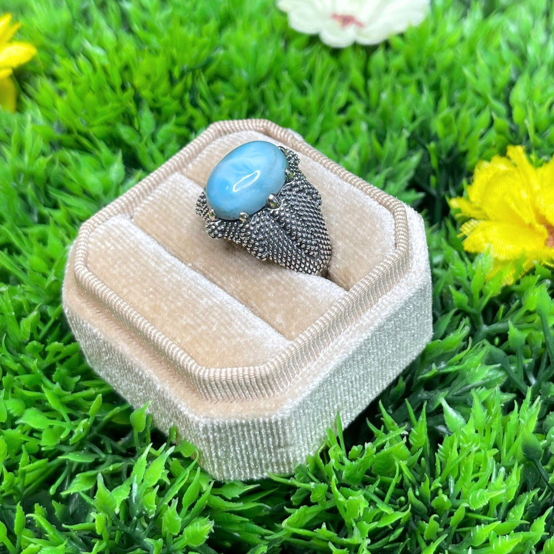 Chevalière Argent Larimar Griffe #4