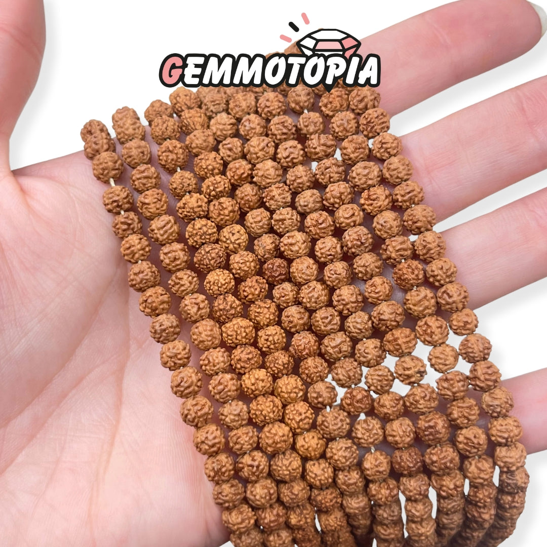 Graines de Rudraksha 5 MM