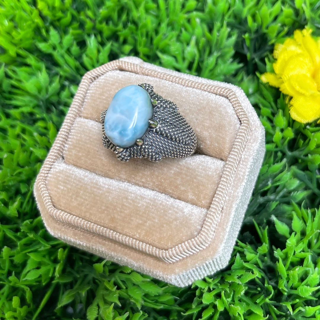 Chevalière Argent Larimar Griffe #1