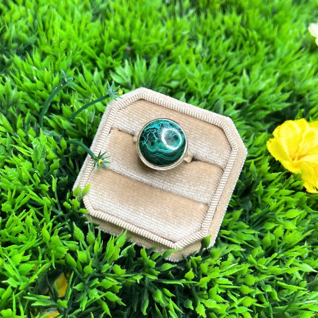 Bague Malachite Chrysocolle #18