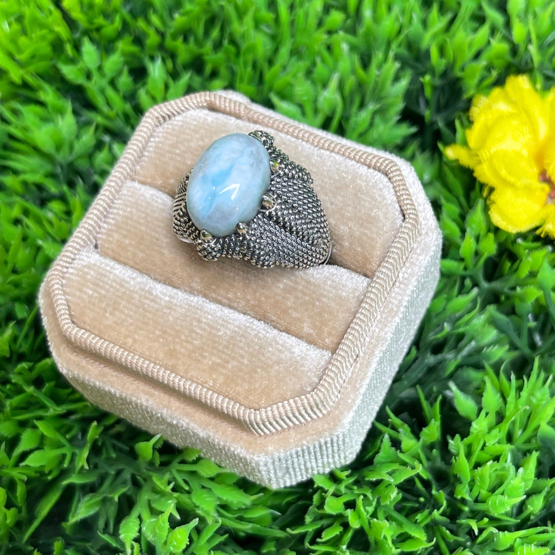 Chevalière Argent Larimar Griffe #6